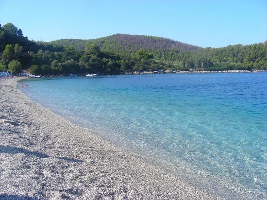 Σκόπελος: Μοναδικές εικόνες σε πολυσύχναστη παραλία – Σηκώθηκαν και προσπαθούσαν να πιστέψουν στα μάτια τους (βίντεο)